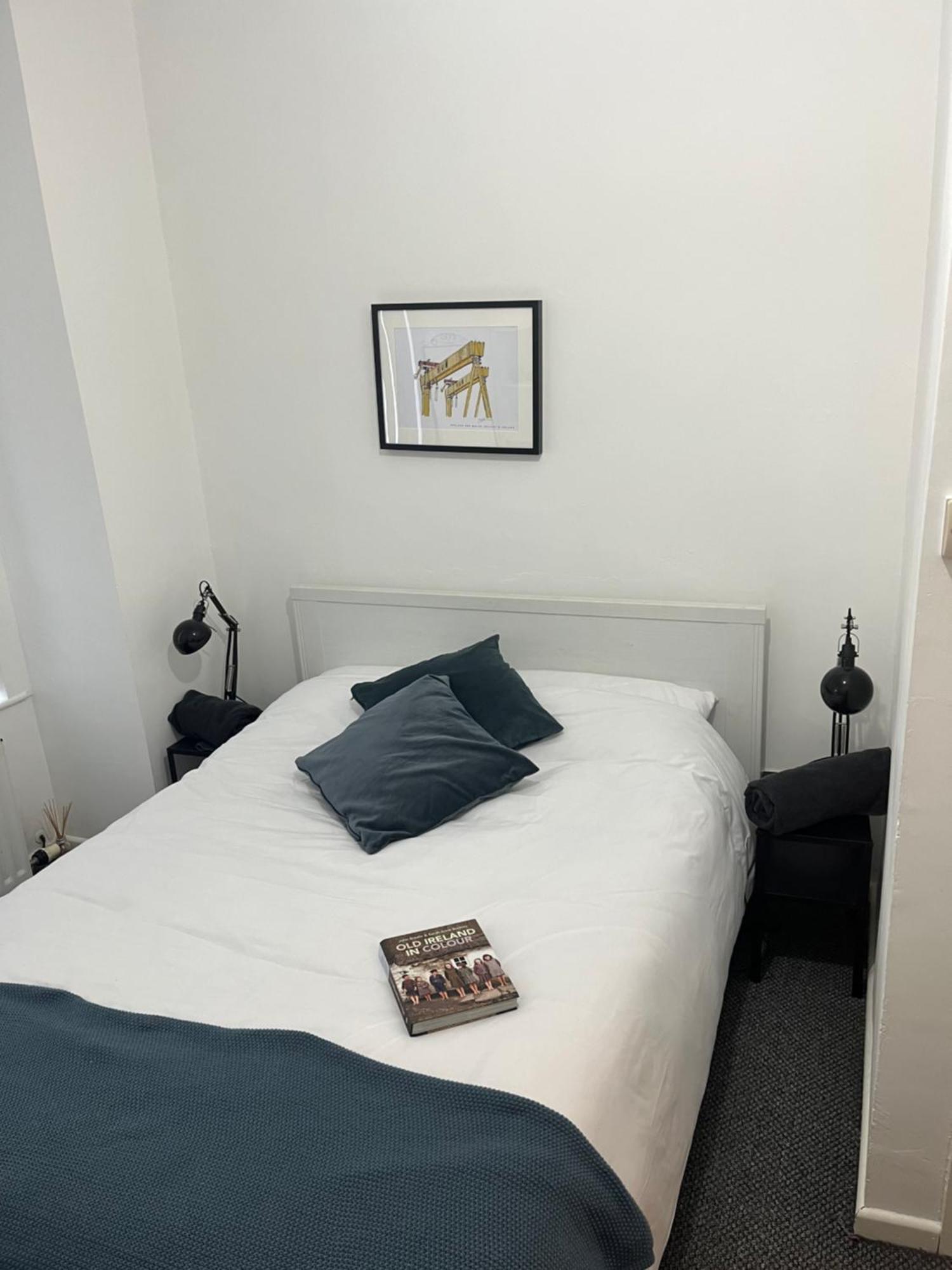 Loganberry Apartment Belfast Zewnętrze zdjęcie