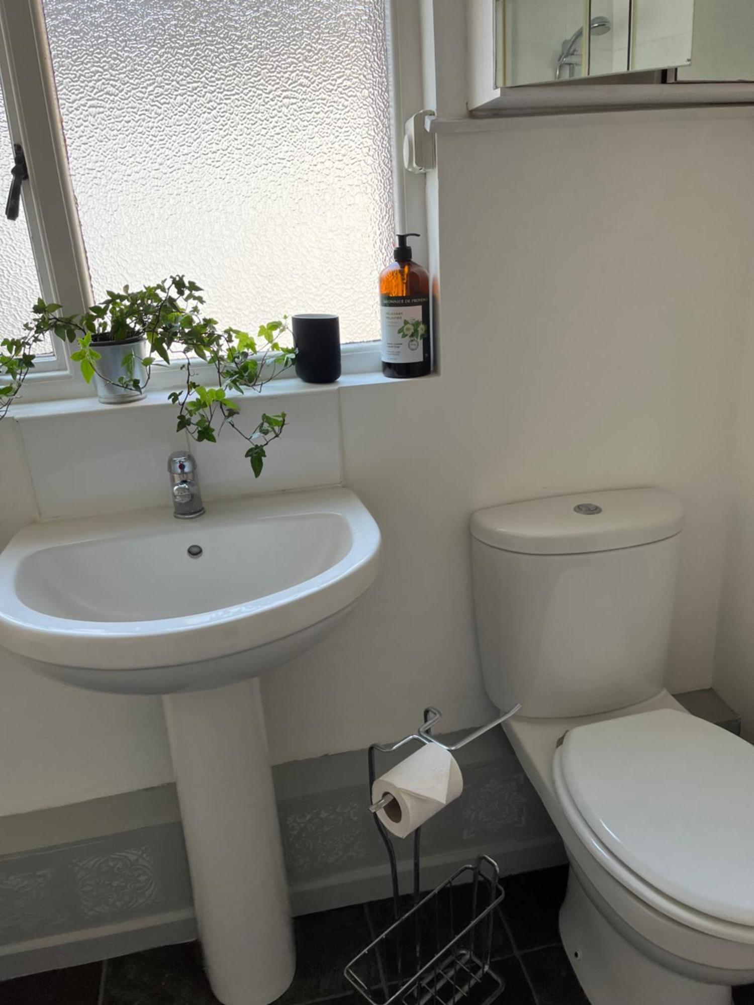 Loganberry Apartment Belfast Zewnętrze zdjęcie