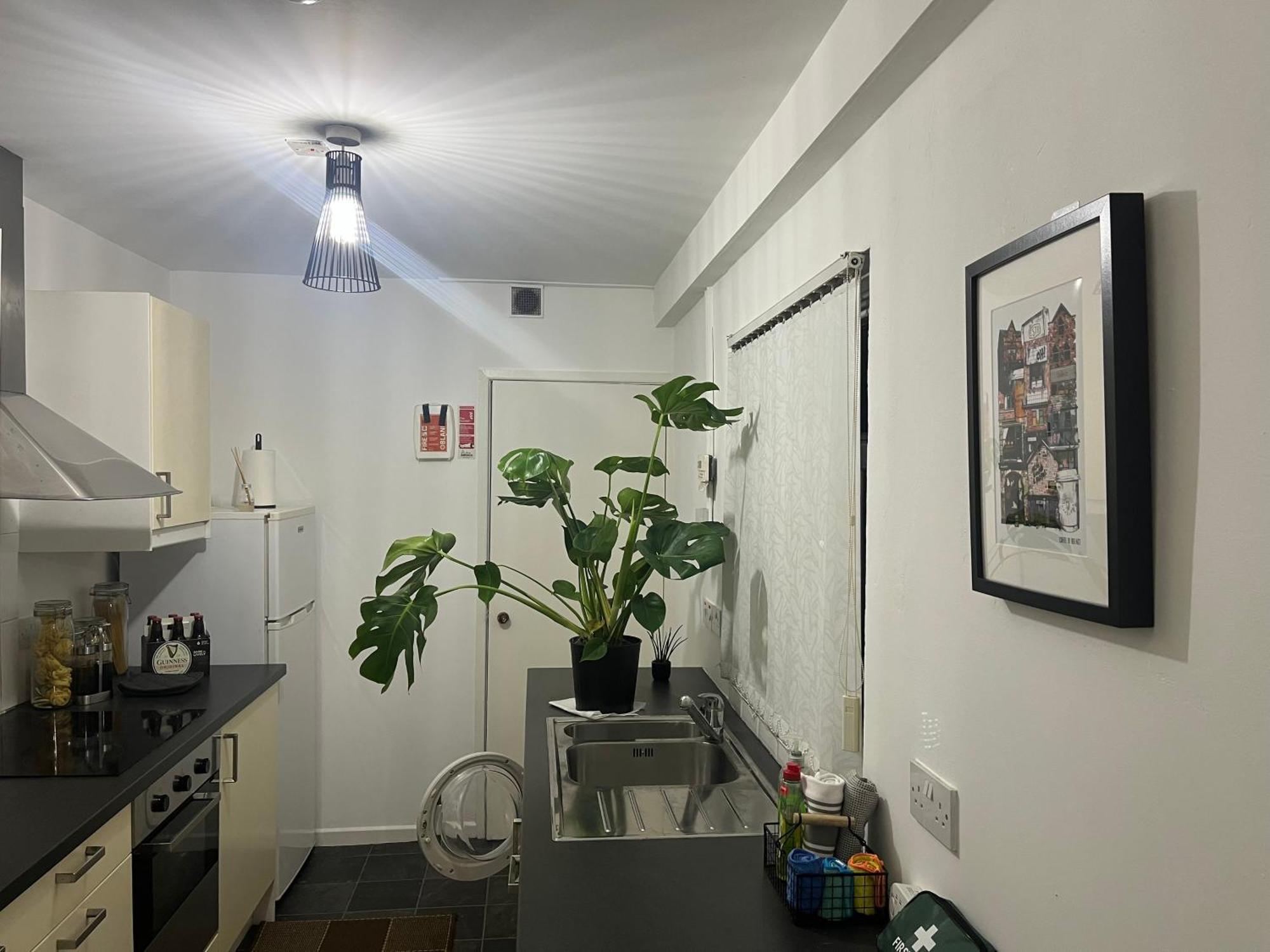 Loganberry Apartment Belfast Zewnętrze zdjęcie